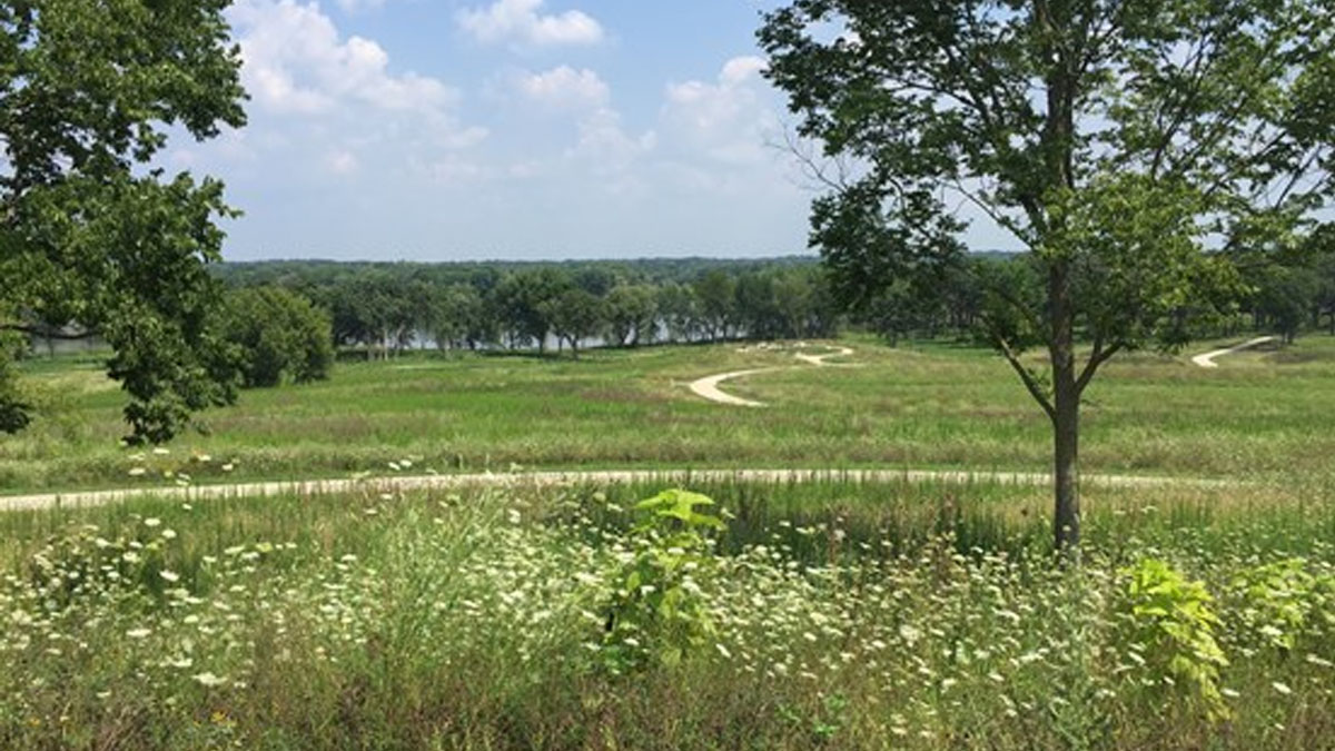 Spring Sunset Hike at Grassy Lake Forest Preserve